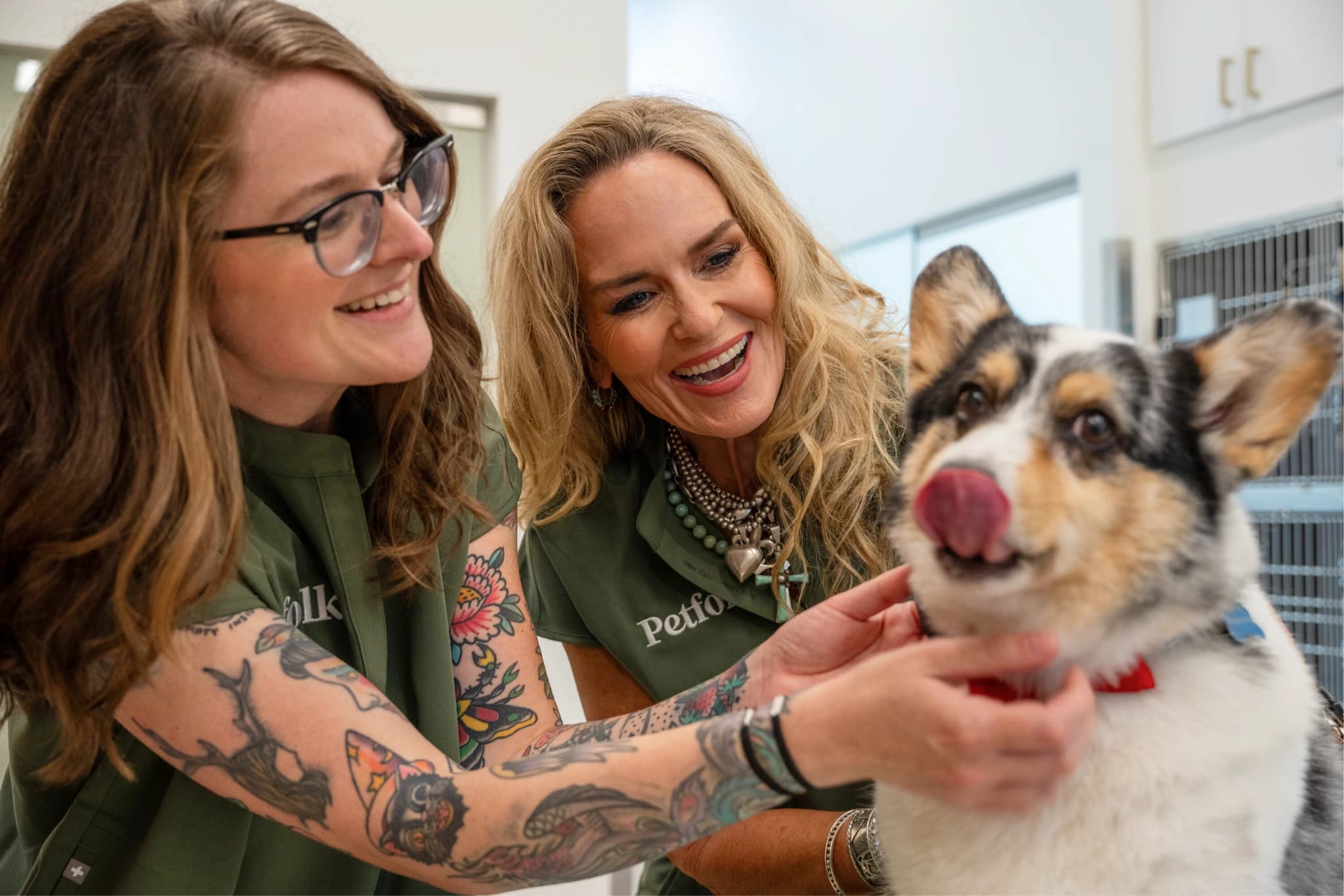 Two Petfolk veterinary team members greeting a corgi in an exam room