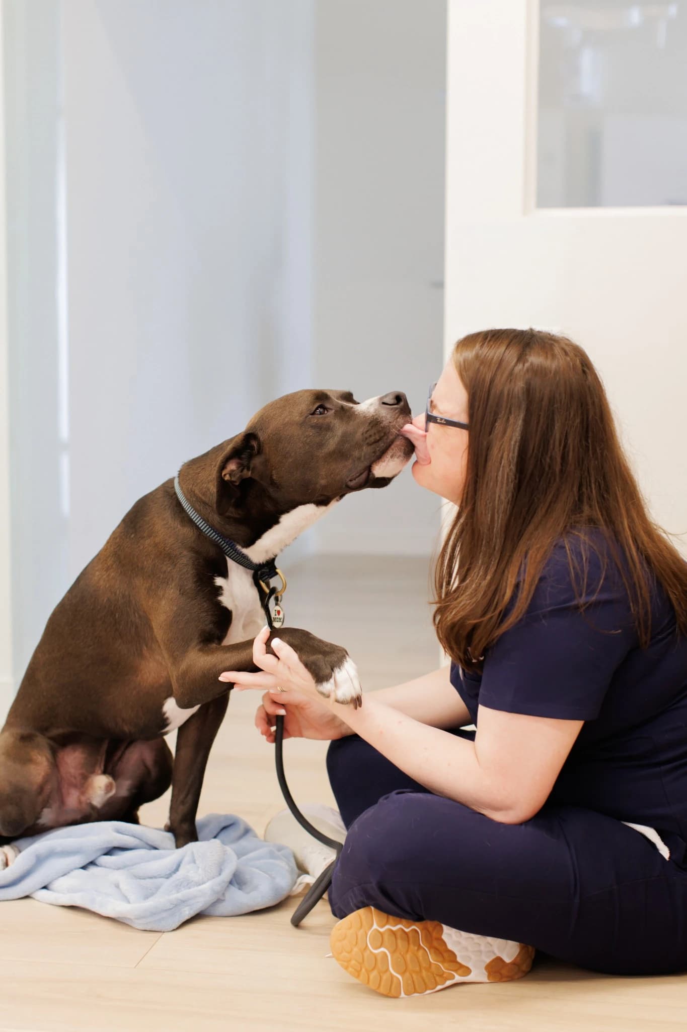 Expert care from nose to tail