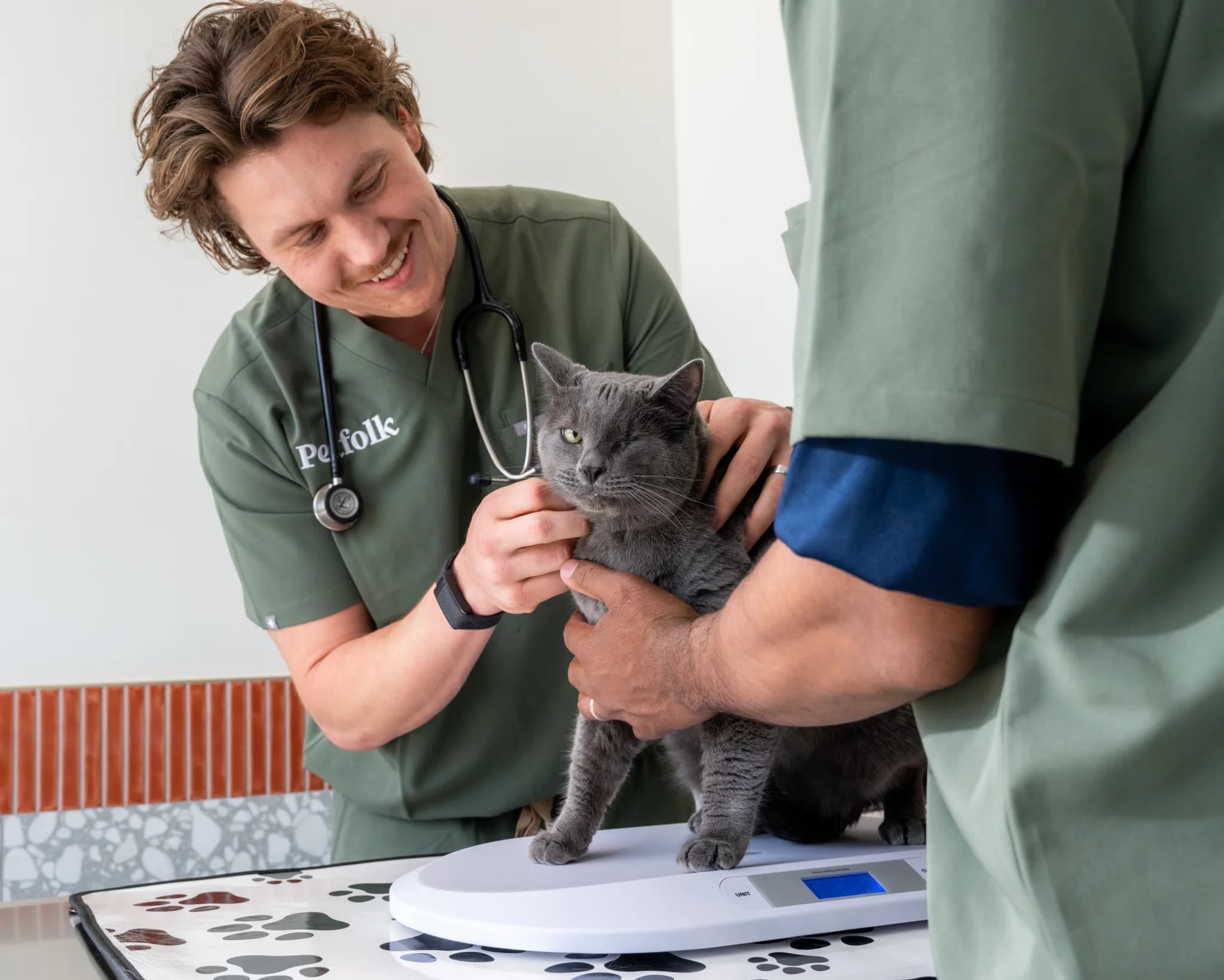 A smiling veterinarian examining a cat while a colleague holds it