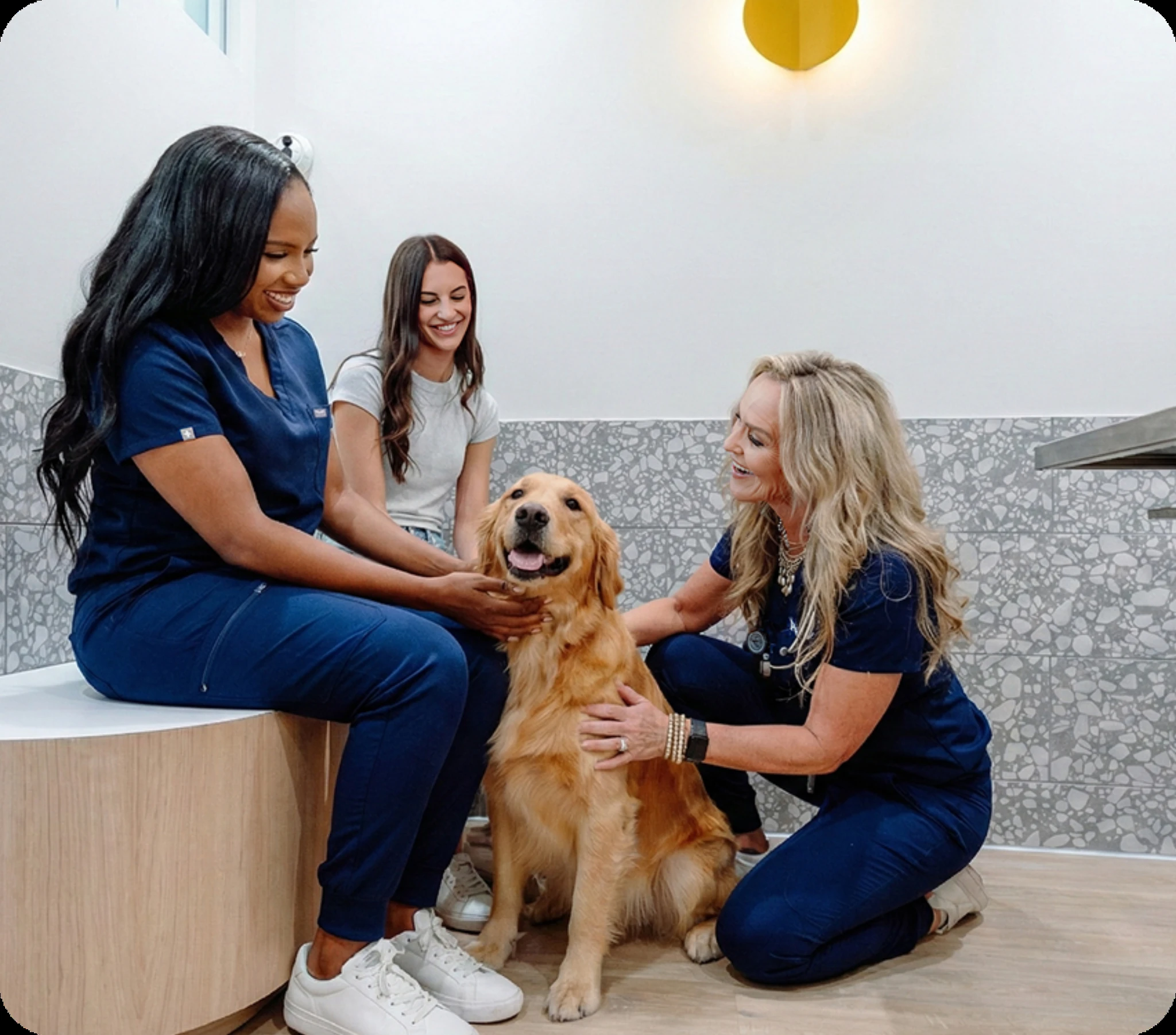 Veterinary care worth wagging about