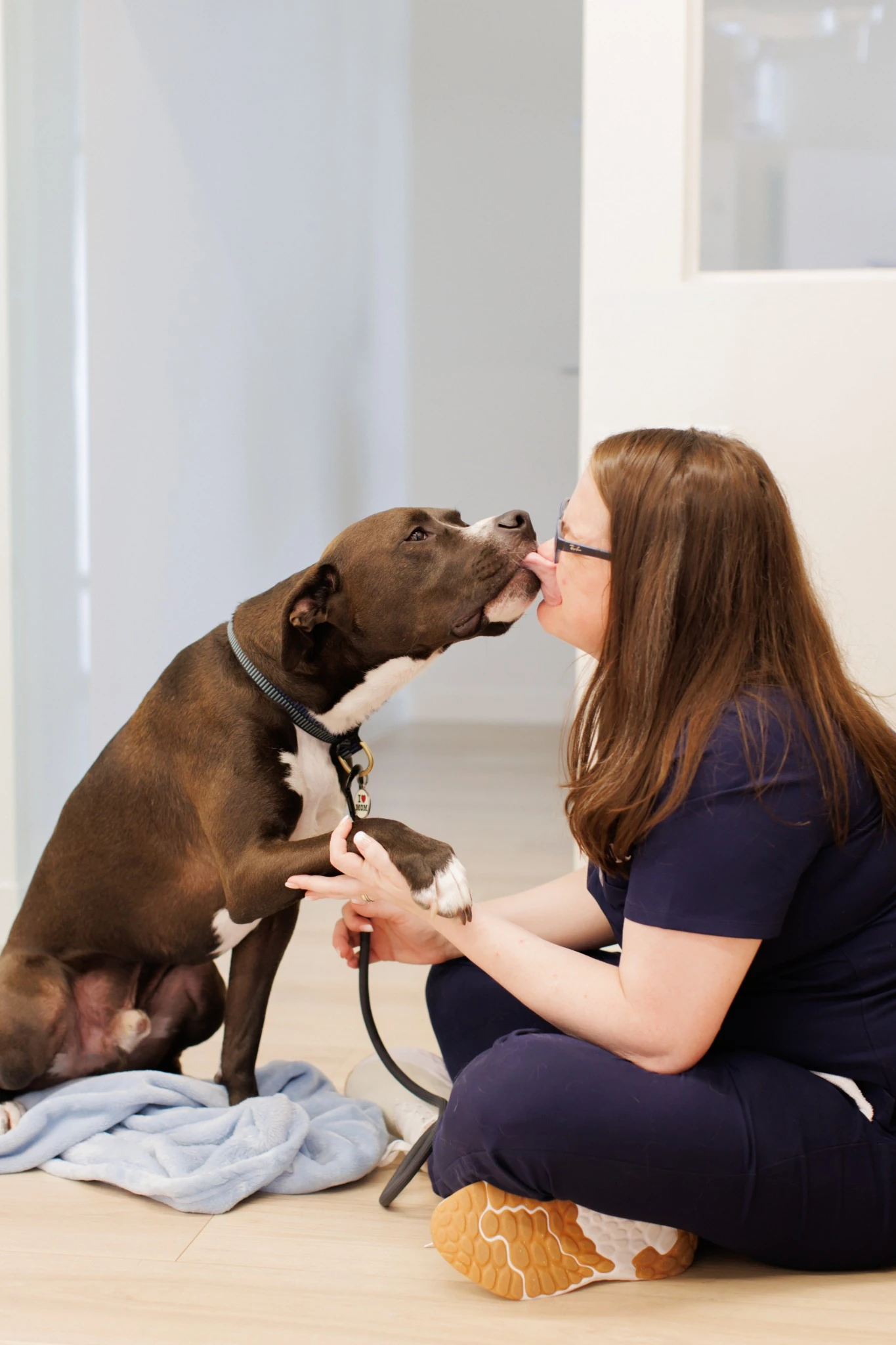 Expert care from nose to tail